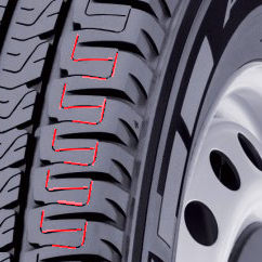 highlighted Sipes