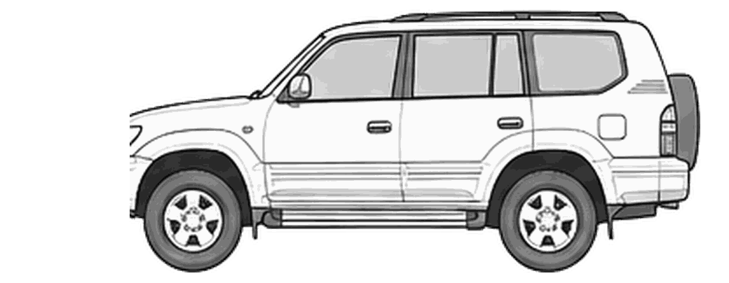 Toyota LandCruiser Amazon
