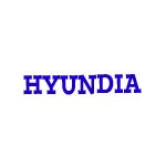 Hyundai Battery Fitment Guide